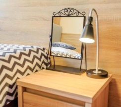 Двухместный номер Standard 2 отдельные кровати в Botanik Hostel