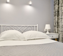 Улучшенный одноместный номер в Питер