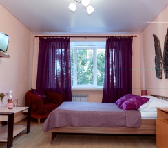 Двухместный номер с 1 кроватью  в Брусника