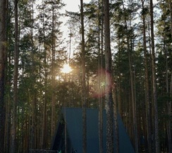 А-Фрэйм с видом на лес в Аван