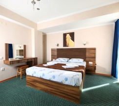 Люкс в Ростовчанка