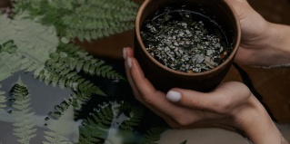 Манжерок: Турбаза Таёжник