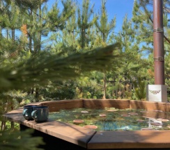 Бельгия в BamBoo Village