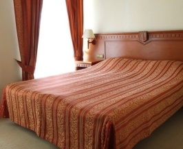 Стандартный двухместный номер в Golden Hotel