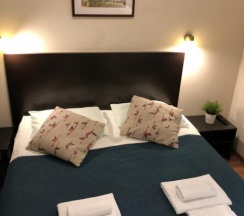 Standart room в Караванная 5