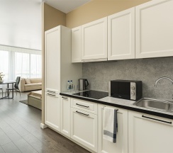 Business Suite в Radius Central House by Огни Rent