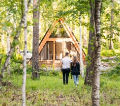 Шале в форме треугольника в Таналтай