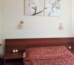 Номер стандарт бизнес с 1 двуспальной кроватью в Урал