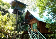 Трёхместный коттедж в Khao Sok Tree House