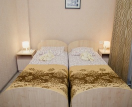 Бюджетный двухместный номер с 2 отдельными кроватями и раковиной в ЗОО
