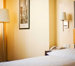 Одноместный номер в Bristol Hotel Frankfurt