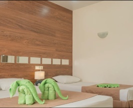 De luxe Triple (2+1) в Green Elephant