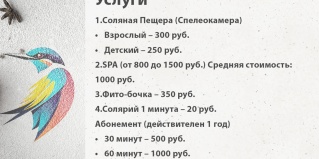 Горно-Алтайск: Отель Зимородок