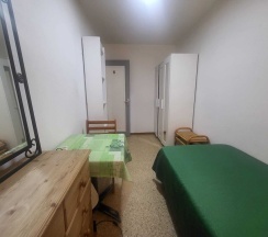 Одноместный номер Standard с видом на парк односпальная кровать в Low Cost Room Las Llaves 3