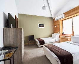 Стандарт TWIN в Park chalet