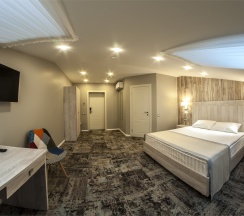 Double Standart Mansard в Scandinavia