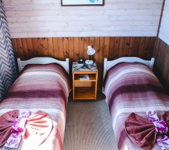 Номер стандарт с 2 односпальными кроватями в Велт