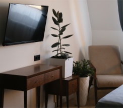 № 405 Улучшенный двухместный номер в разМалевиch