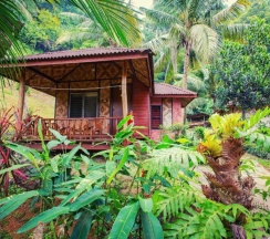 Бунгало с видом на сад в Railay Garden View Resort