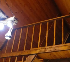 Шестиместный коттедж Superior с красивым видом из окна в Solthomee