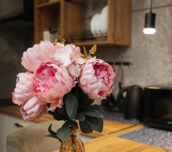 Одноместный номер категории стандарт в Городок