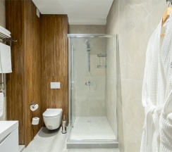 Junior suite 2-местный 1-комнатный в Alean residence olginka