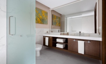 Двухместный номер Deluxe с видом на горы 2 отдельные кровати в Swissotel Wellness Resort Alatau Almaty