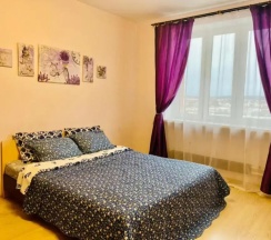 Апартаменты c 1 комнатой с балконом и с видом на город в Концепция