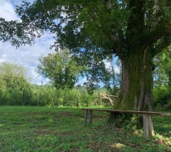 Двухместный коттедж Economy двуспальная кровать в Страна Души