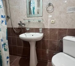 Двухместный номер Standard (двуспальная кровать) в Камелия
