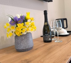 Люкс (DBL/SGL) в Никольское