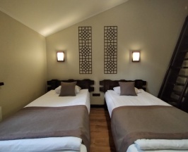 Двухместный номер Standard 2 отдельные кровати в Сарайшық