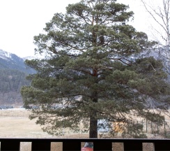 СЕМЕЙНЫЙ ПЛЮС с террасой в Rancho Texas