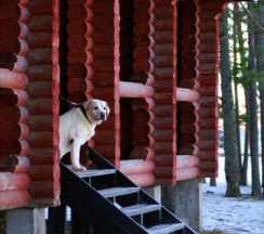 номер люкс № 9 с отдельным входом в Green village