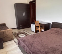 Комната стандарт с 1 двуспальной кроватью в Гостевой дом