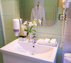 ДЕЛЮКС двухместный с 1 кроватью (DE LUXE DBL) в Велнесс