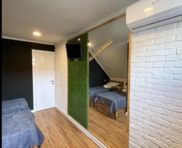 2-местная комната стандарт №9 (мансарда) в Greenwall