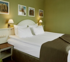 Стандартный номер с видом на парк (1 категория) в Старый город