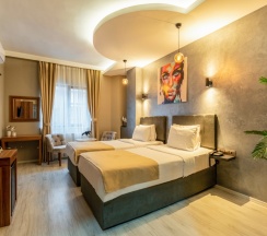 Двухместный номер Standard 2 отдельные кровати в Отель Monezza Hotel