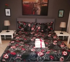 Одноместный номер Standard с балконом двуспальная кровать в Kaktus Guest House