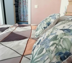 Двухместный номер Standard двуспальная кровать в Fikus