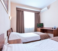 Номер Стандарт улучшенный TWIN в Дубки