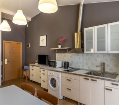 Апартаменты Люкс (Однокомнатный 2-х местный номер c кухней без балкона) в Odeon