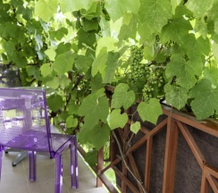 Двухместный номер Superior с балконом двуспальная кровать в Ла-манча