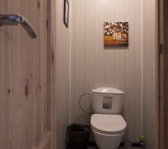 Коттедж в Сойкино