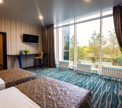 Трехместный люкс в Дружба