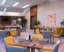 Номер представительский в DoubleTree by Hilton Moscow-Vnukovo Airport