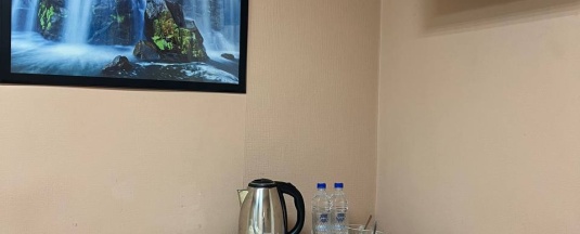 Трехместный семейный номер  в Берёза