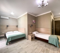 Корпус Сильвер Увеличенный Стандарт Плюс в Family Pride Inn Прайд