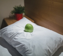 Семейный четырехместный в Dom hotel dme